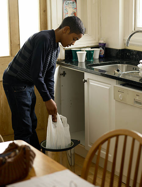 Attic Cleanout Services in Greenville, GA